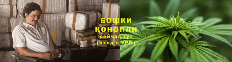 Конопля LSD WEED  Ставрополь 